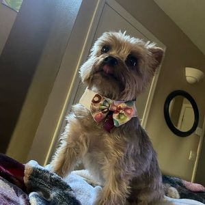 Meet your Posher, Priscilla